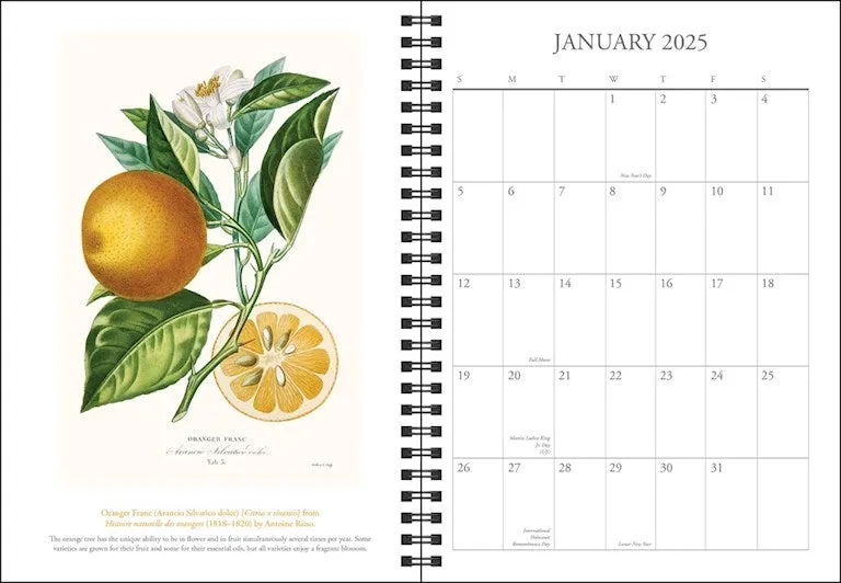 The New York Botanical Garden 2025 Planner